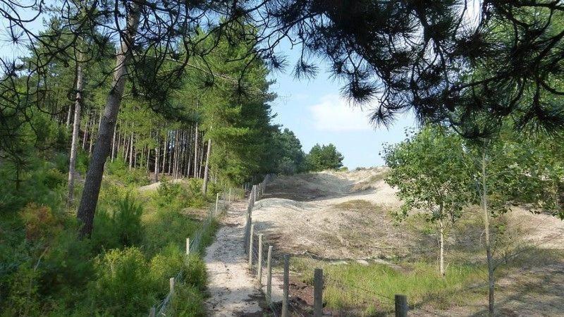 Hamac Chic Vue Mer. Berck Екстер'єр фото